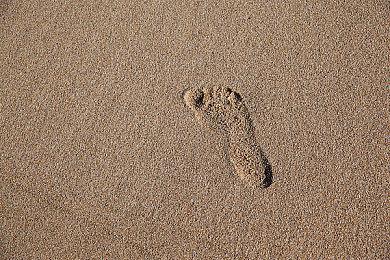 因为疫情原因 Pearl Abyss新作《红色沙漠》被延期